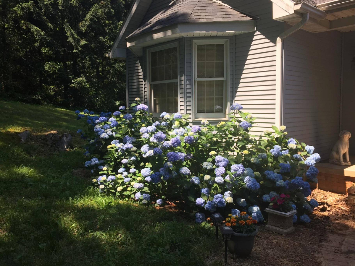 Featured Listing Image 72