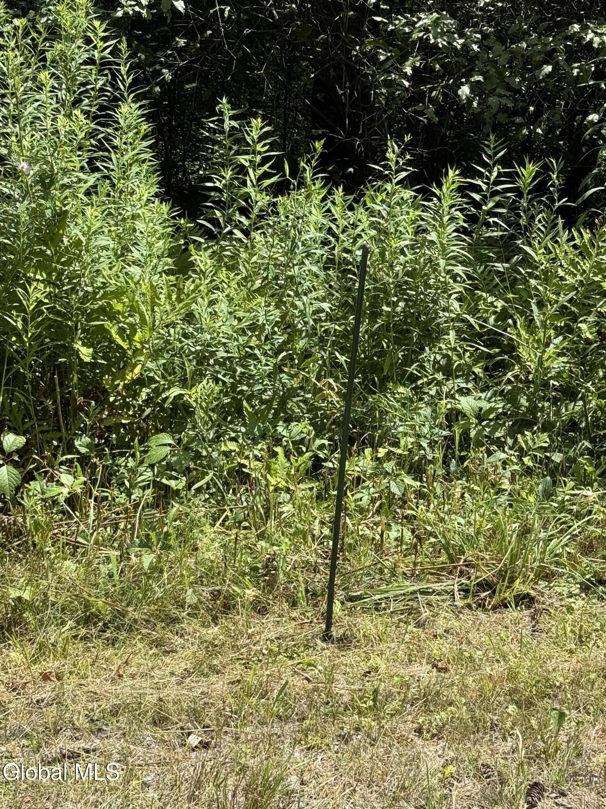 Featured Listing Image 31