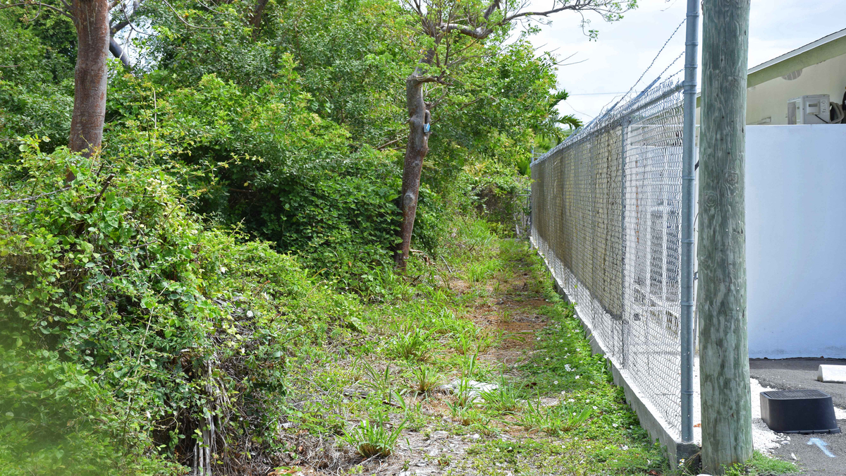 Featured Listing Image 5