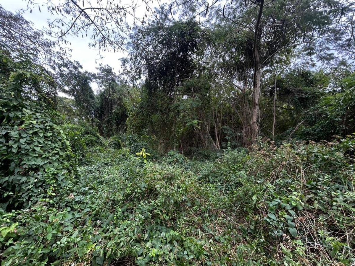 Featured Listing Image 8