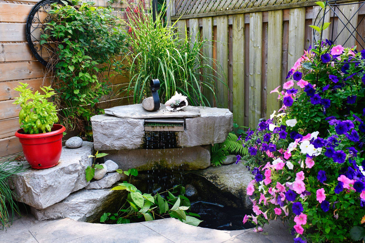 Featured Listing Image 35