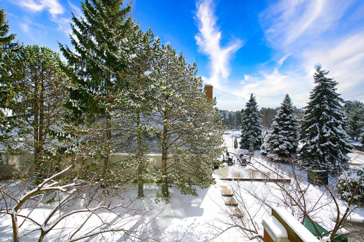 Featured Listing Image 12