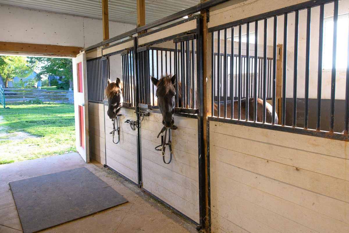 Featured Listing Image 2