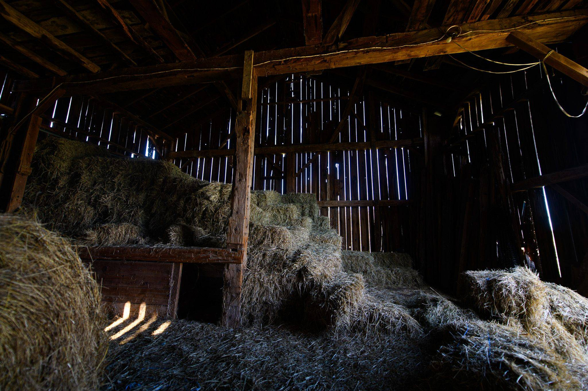 Featured Listing Image 24