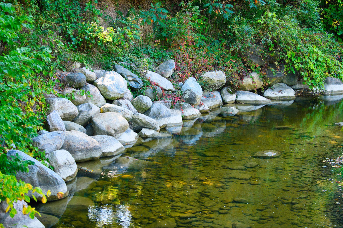 Featured Listing Image 25