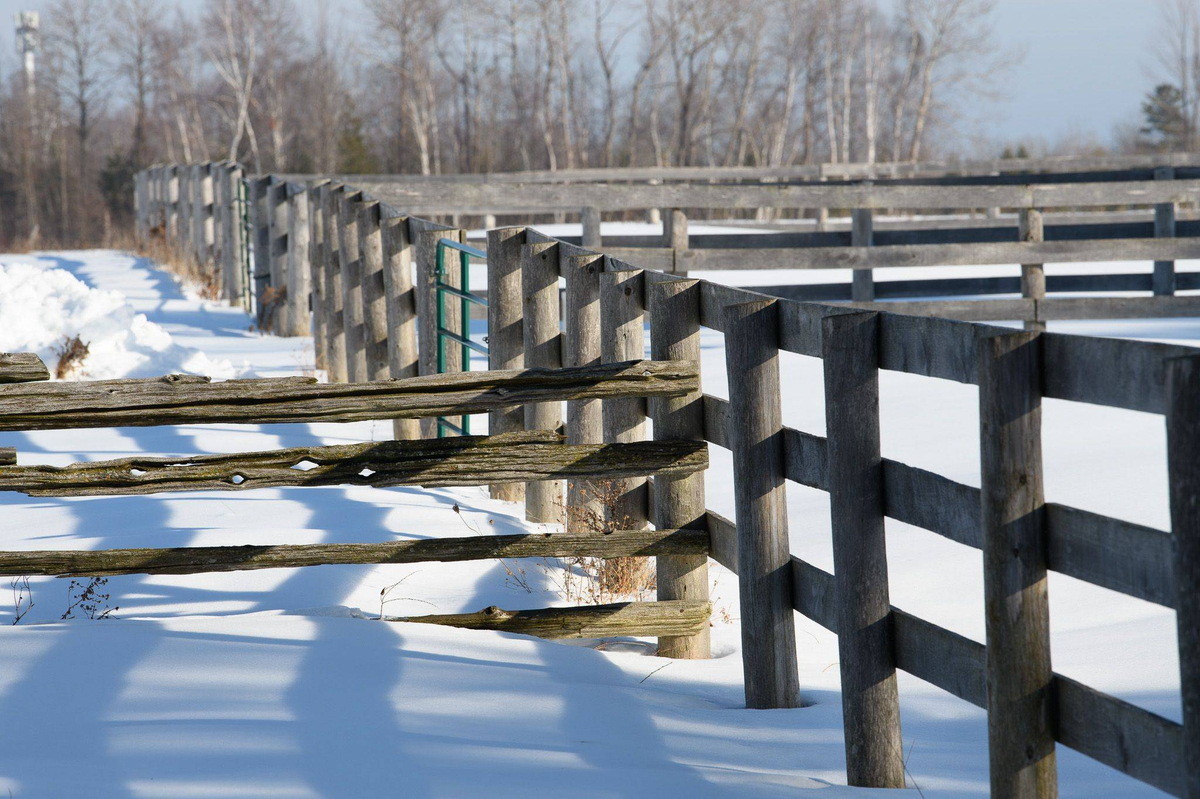 Featured Listing Image 20